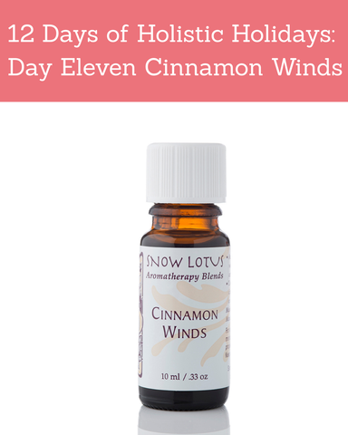 Essential Oil - Cinnamon Winds Esthetic Blend