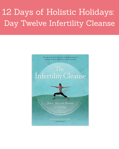 The Infertility Cleanse Book