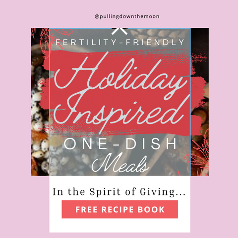 Holiday Inspired Fertility Friendly Recipe E-Booklet