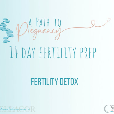 14-Day Fertility Prep Program: Fertility Detox