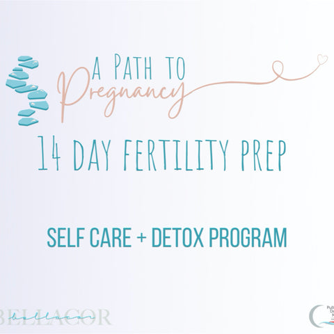 14-Day Fertility Prep Program: Self Care Track + Detox Program